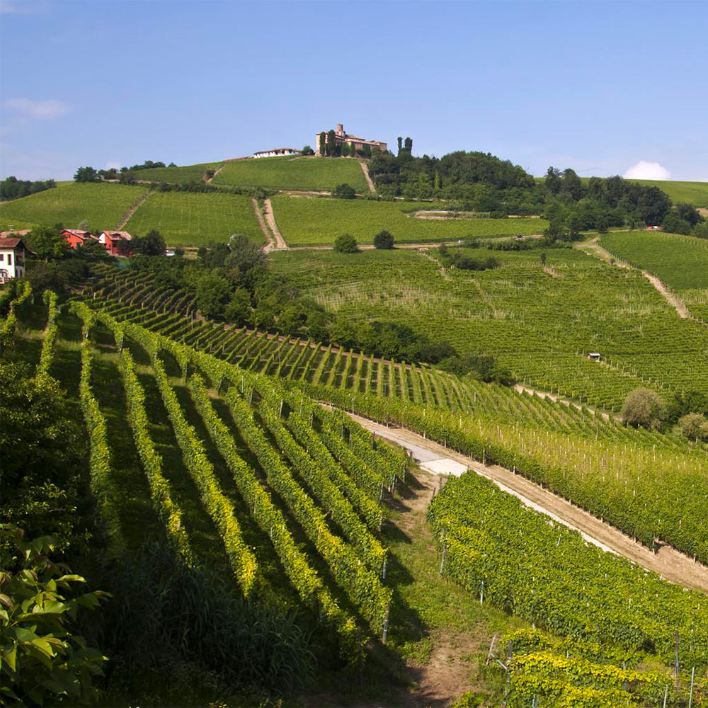 Langhe DOC