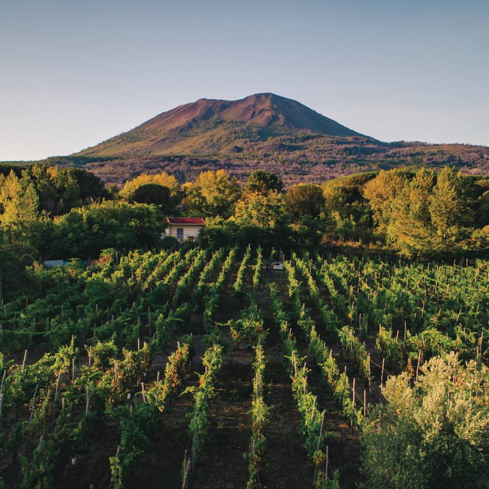 Campania