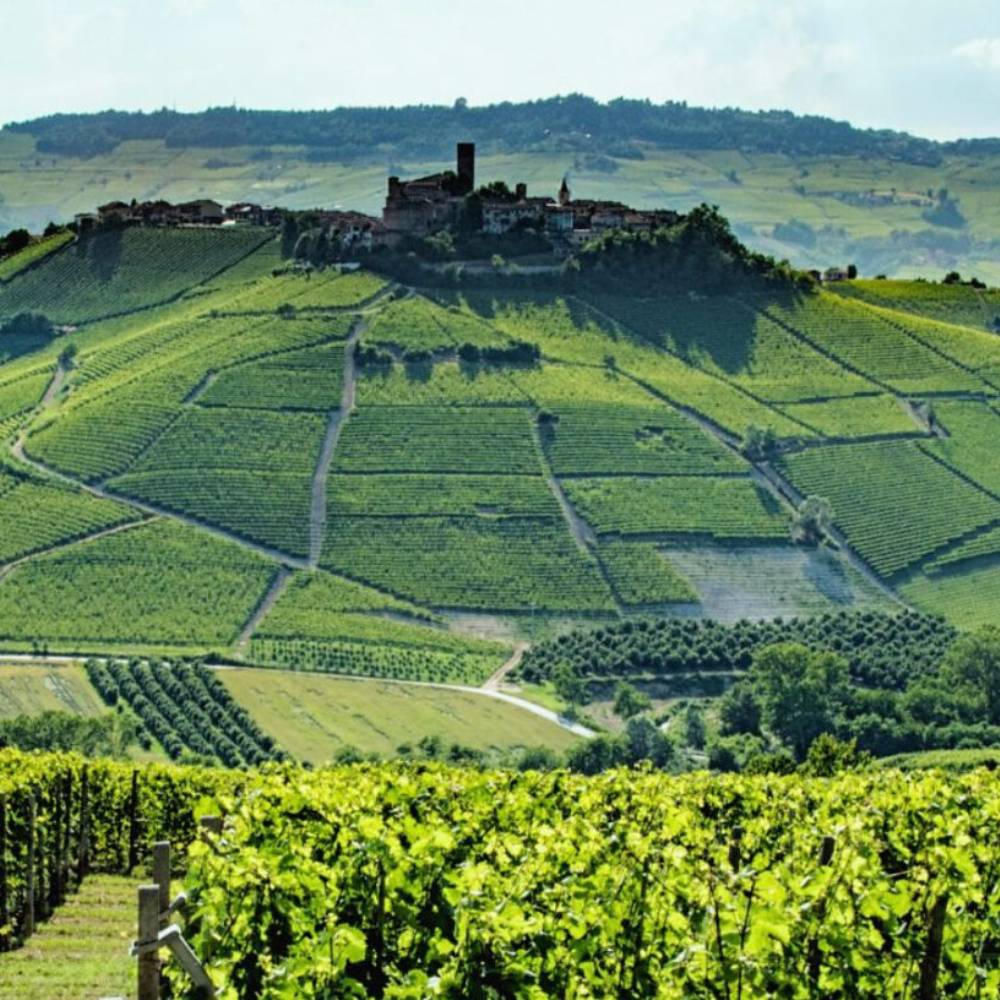 Barolo DOCG