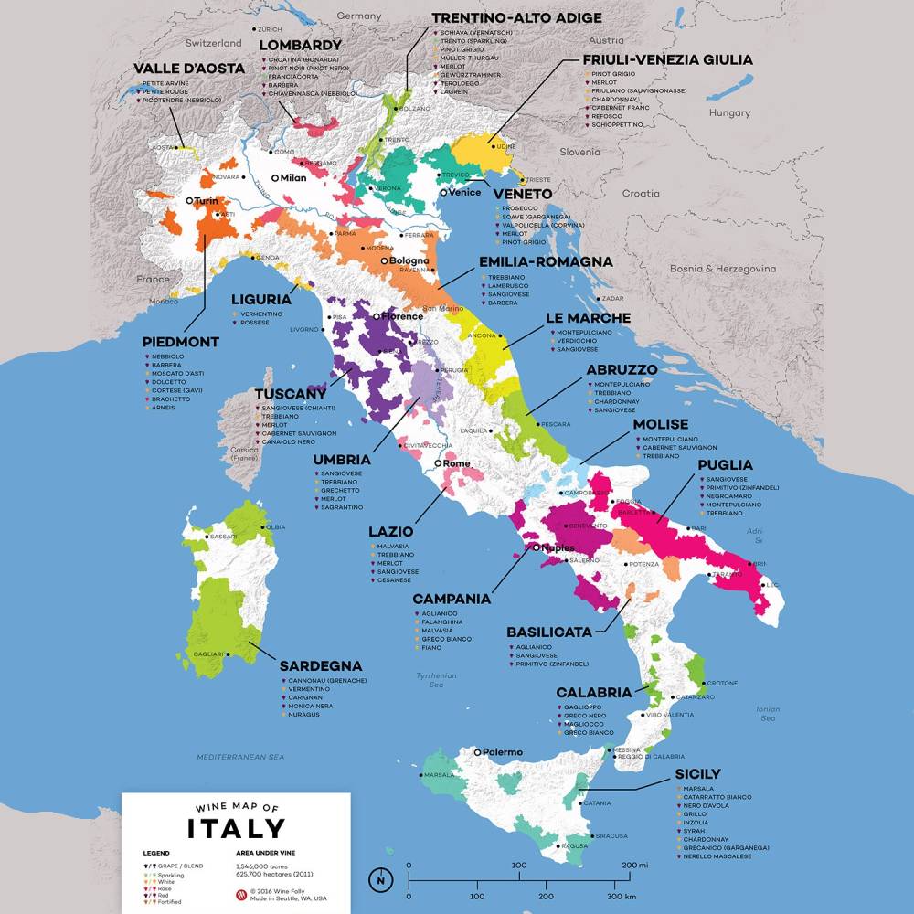 Scopri tutte le denominazioni