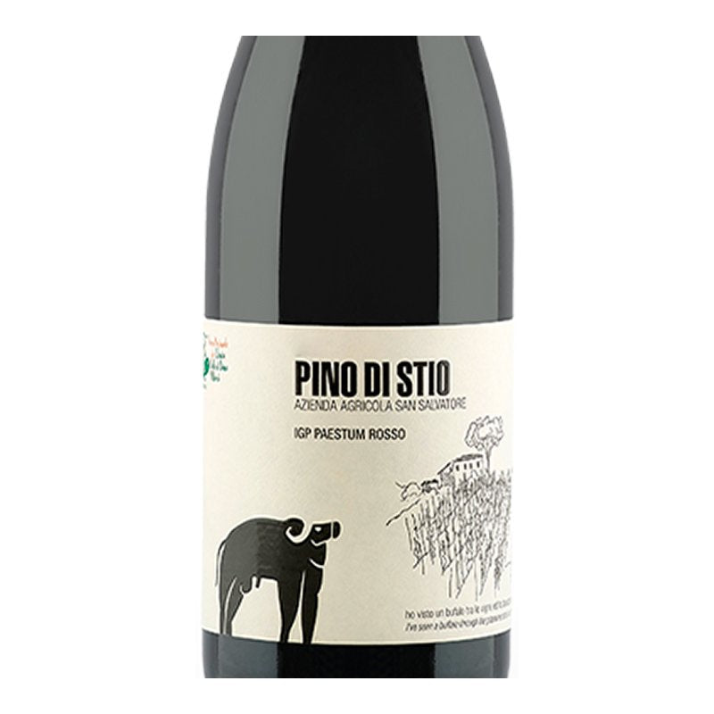 Pino Di Stio Paestum Igp 2020 Cantina San Salvatore 1988
