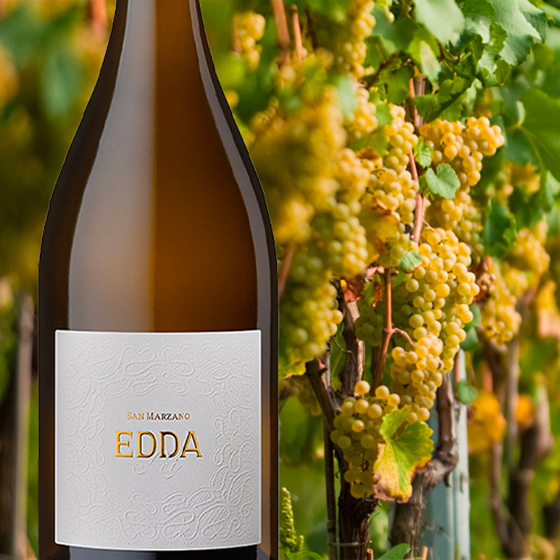 Edda Salento Igt 2021 Cantine San Marzano