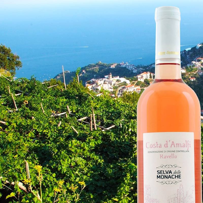 Selva Delle Monache Rosato Costa D Amalfi Doc 2022 Casa Vinicola Ettore Sammarco