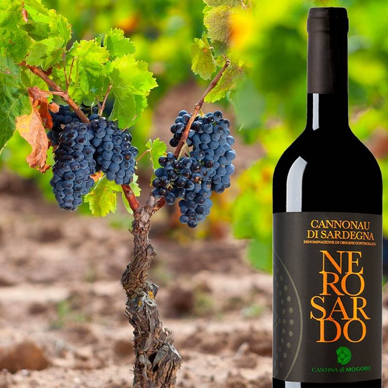 Nero Sardo Cannonau Di Sardegna Doc 2016 Cantina Di Mogoro