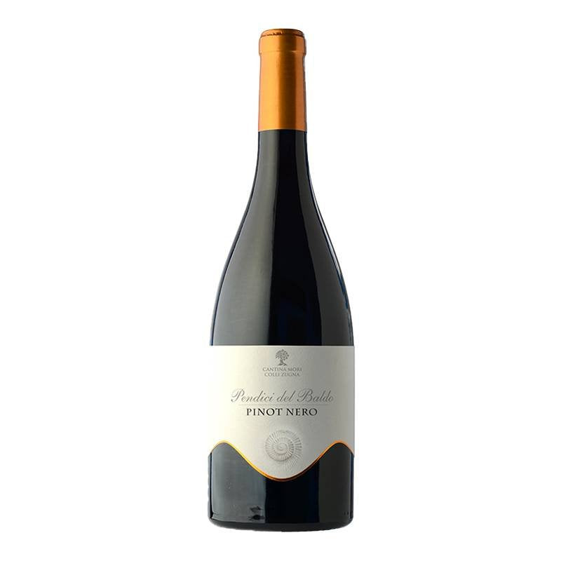 Pendici Del Baldo Trentino Doc 2020 Cantina Mori Colli Zugna