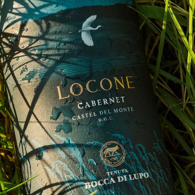 Locone Castel Del Monte Doc 2021 Cantine Marchesi Antinori