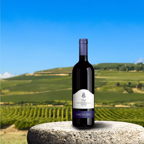 Moye Bonarda Dell Oltrepo Pavese Doc 2022 Cascina Gilli