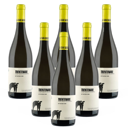 Trentenare Paestum Igp 2023 Cantina San Salvatore 1988