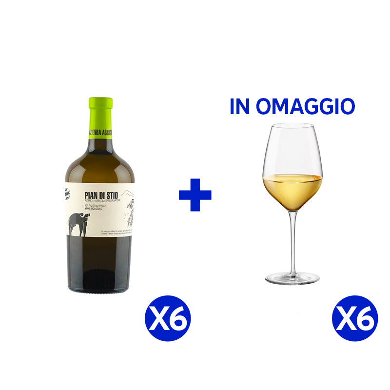 Pian Di Stio Paestum Igp 2022 Cantina San Salvatore 1988 Set 6 Bottiglie 6 Calici