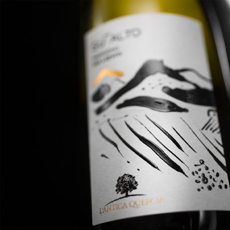 Indigeno Frizzante Sui Lieviti M F Bio Prosecco Colfondo 2021 L Antica Quercia