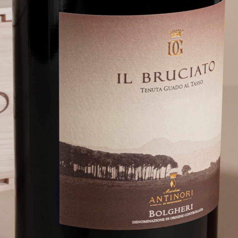 Il Bruciato Bolgheri Doc 2023 Cantine Marchesi Antinori