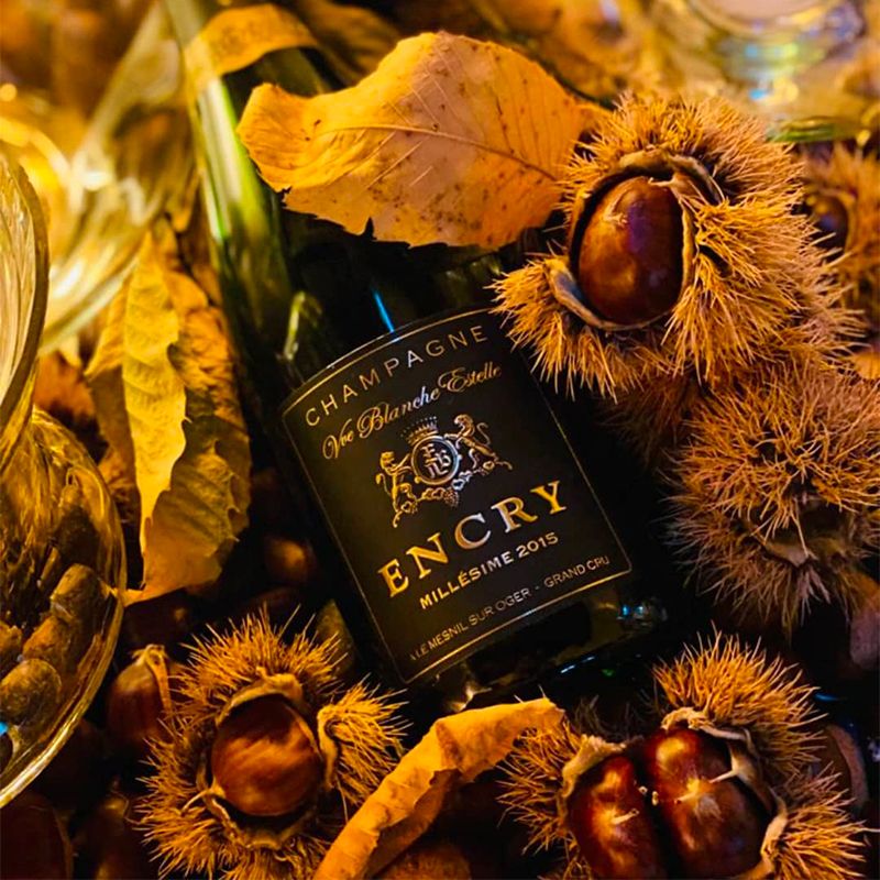 Millesime Memorie Zero Dosage Blanc De Blancs Champagne Aoc 2015 Encry