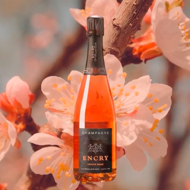 Selection Brut Grand Rose Nuance Champagne Aoc Rose Encry