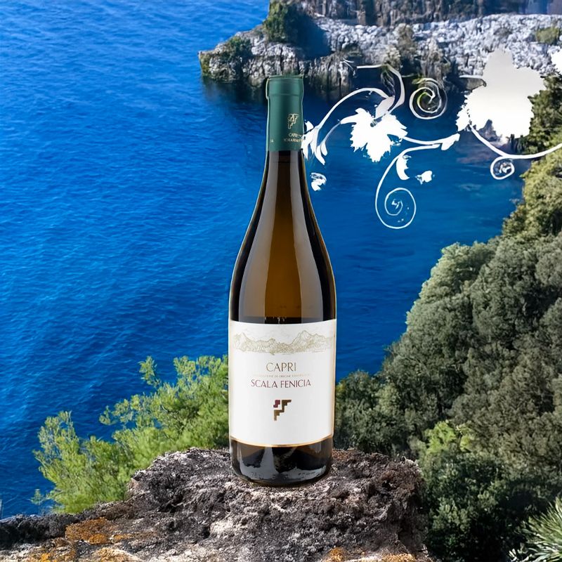 Bianco Capri DOC 2022 Scala Fenicia