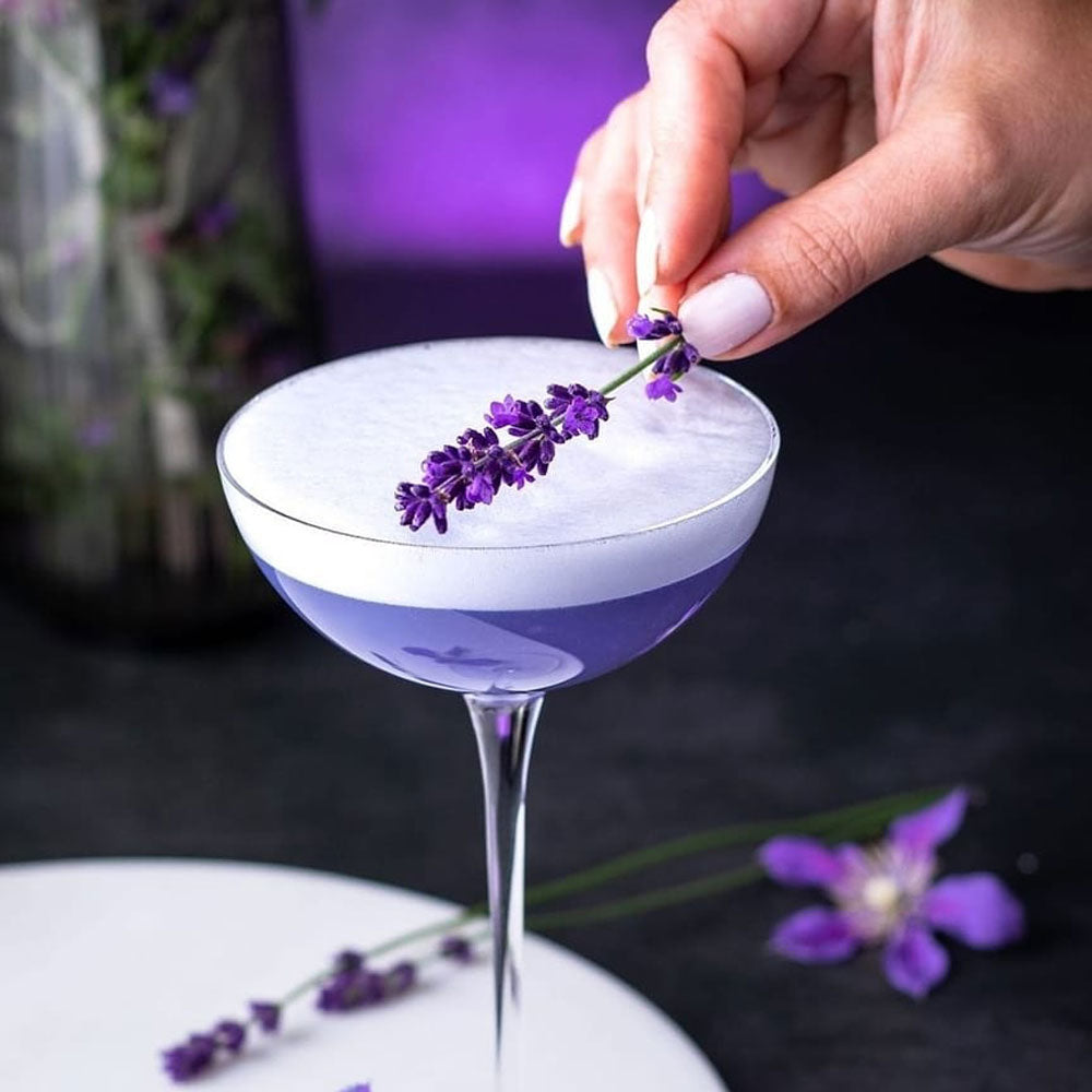 19.5 cl - Nude Hepburn Calici Cocktail Coupe In Vetro Set 4 Pz