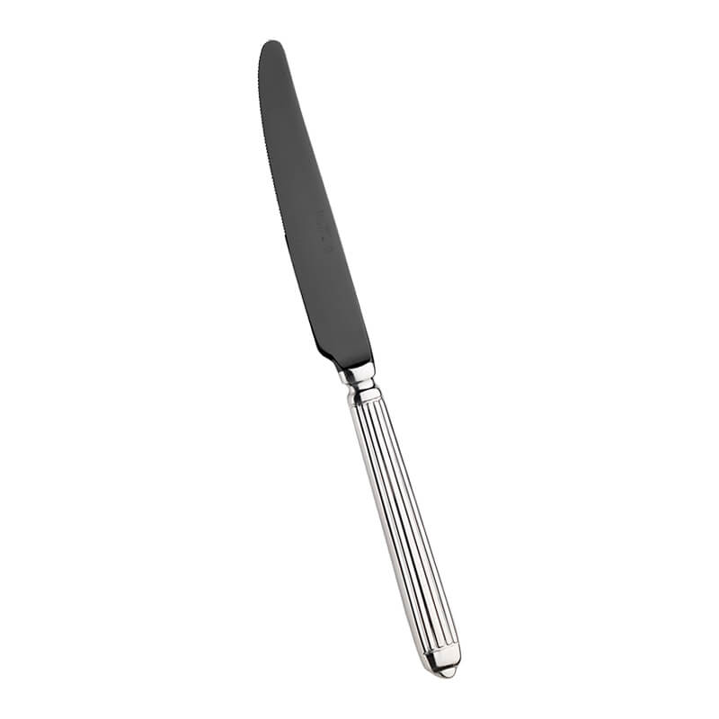 Pintinox Ellade Coltello Tavola In Acciaio Inox Forgiato Set 12 Pz