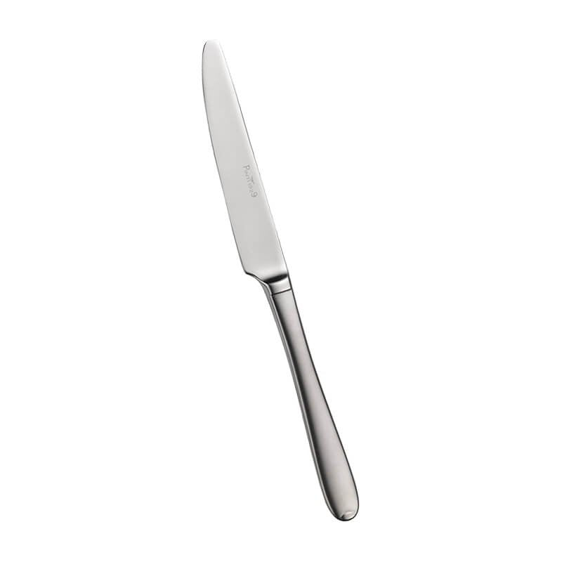 Pintinox Palladium Coltello Frutta In Acciaio Inox Set 12 Pz