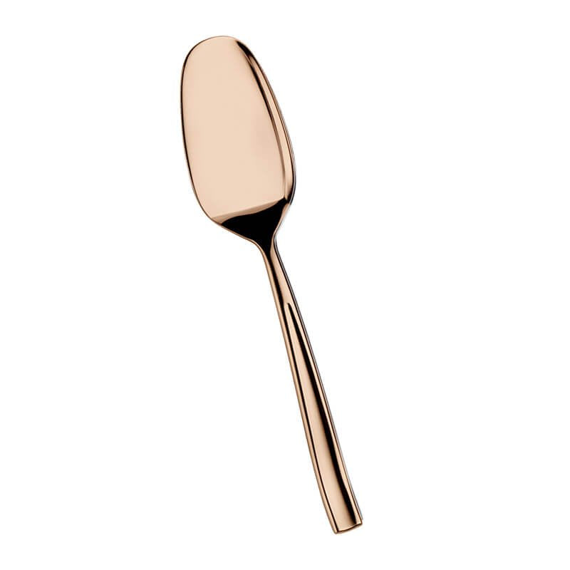 Pintinox Infinito Cucchiaio Gourmet In Acciaio Inox Forgiato Set 12 Pz
