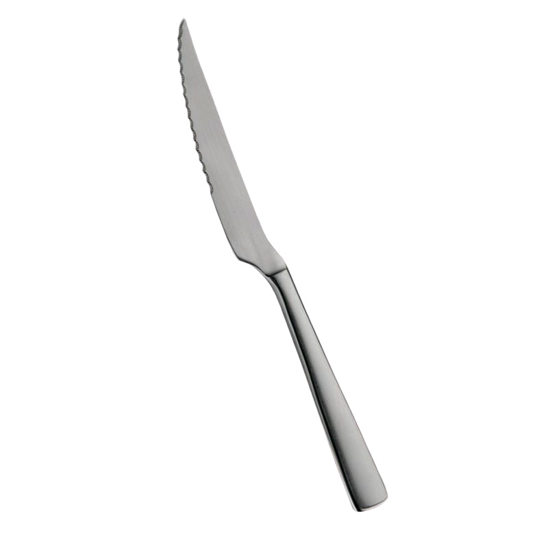 Pintinox Palace Coltello Bistecca In Acciaio Inox Set 12 Pz