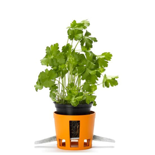 Fiskars Herb Contenitore Per Erbe Aromatiche Rotondo In Polistirene Set 2 Pz