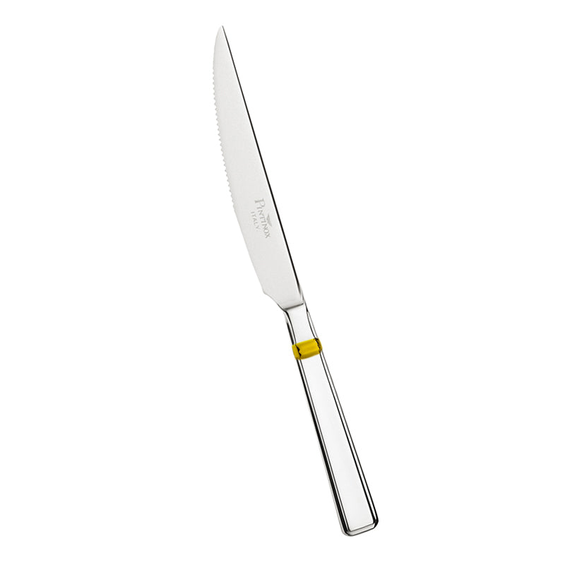 Pintinox Leonardo Coltello Tavola In Acciaio Inox Set 12 Pz