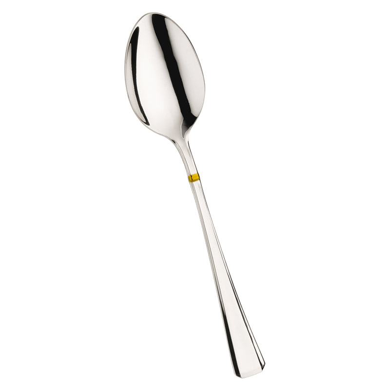 Pintinox Leonardo Cucchiaione Servire In Acciaio Inox