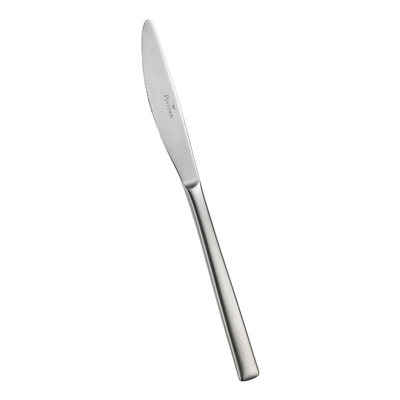 Pintinox Synthesis Coltello Tavola In Acciaio Inox Set 12 Pz