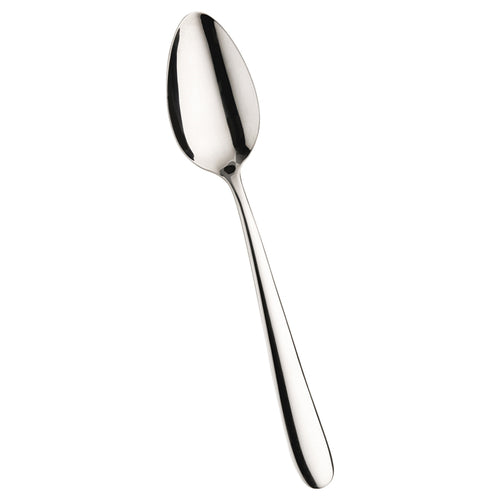 Pintinox Maitre Cucchiaione Servire In Acciaio Inox