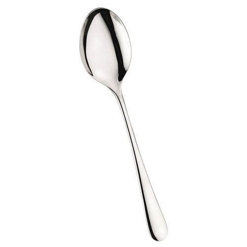 Pintinox Hotel Cucchiaione Servire In Acciaio Inox