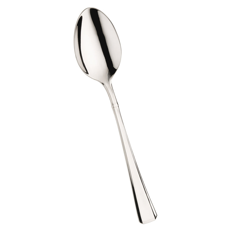 Pintinox Leonardo Cucchiaione Servire In Acciaio Inox