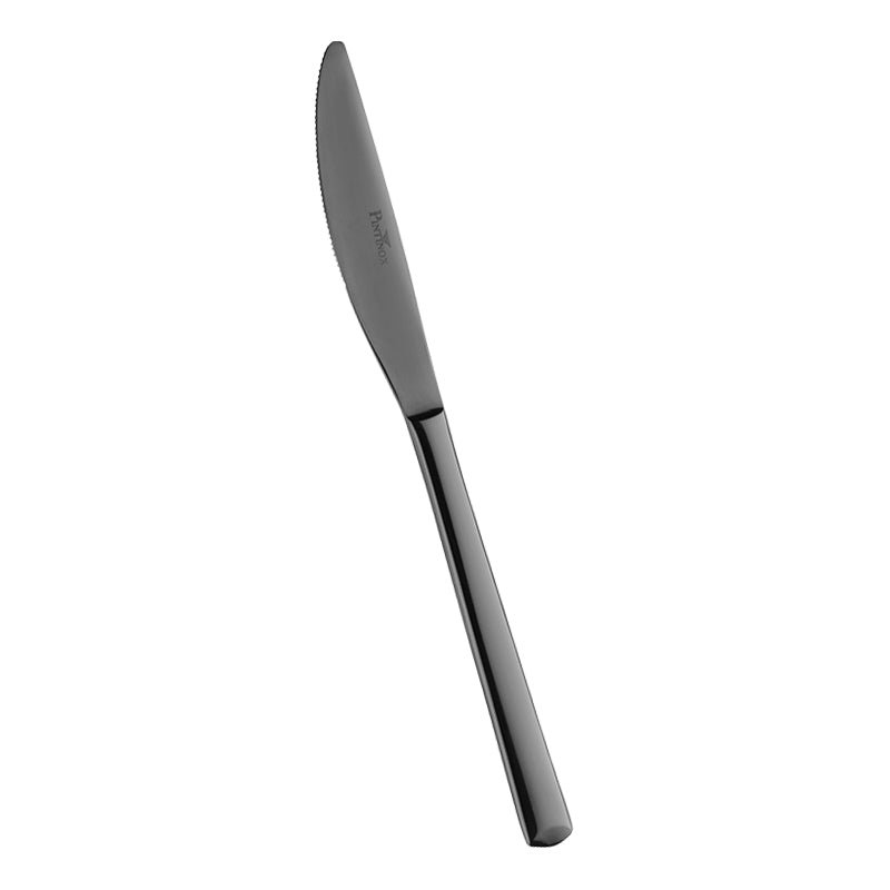 Pintinox Synthesis Coltello Tavola In Acciaio Inox Set 12 Pz