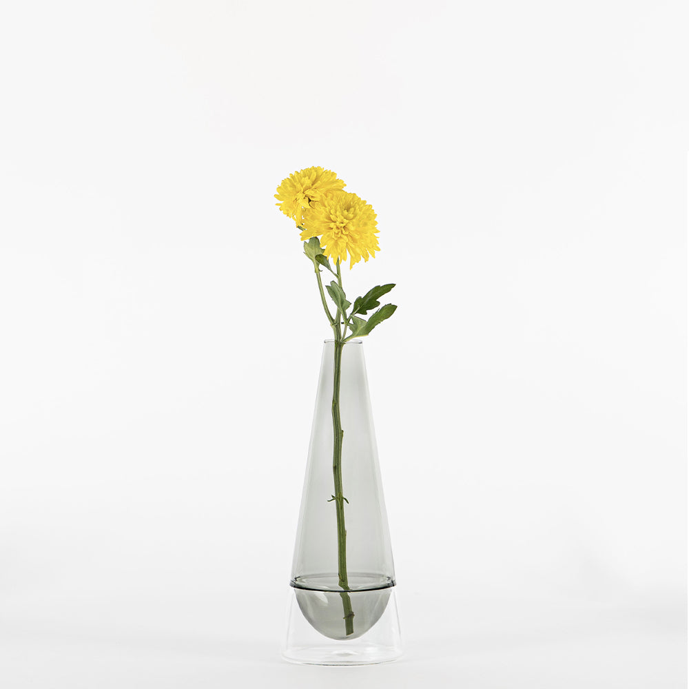 25 cm - Conosfera Vase à fleurs en verre borosilicaté