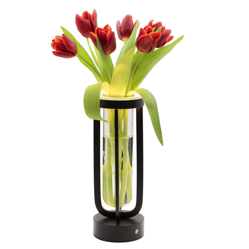 26 cm - Securit Florence Lampada da Tavola Ricaricabile