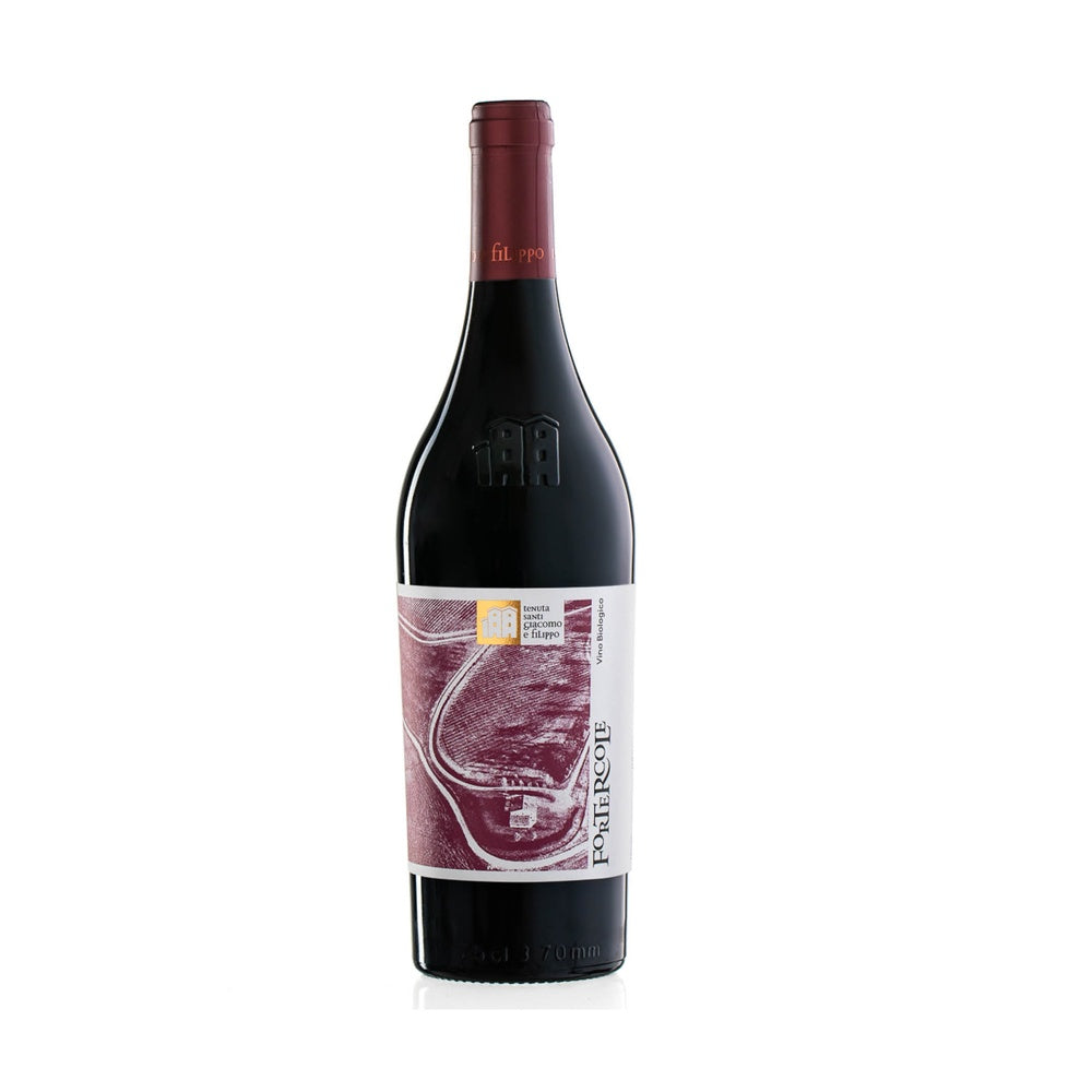 Fortercole Rosso Marche IGT 2020 BIO - Tenuta Santi Giacomo e Filippo