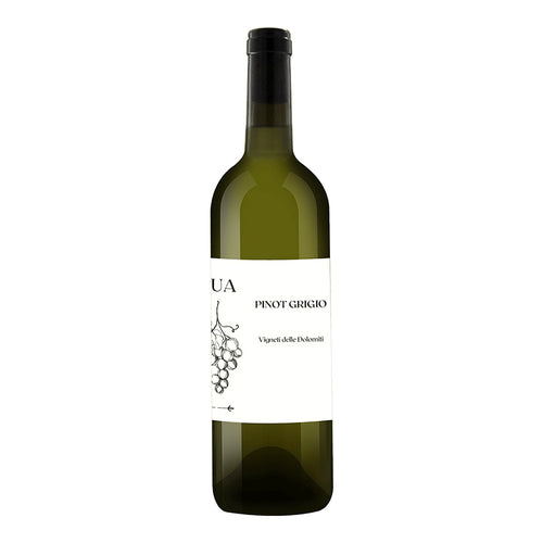 Pinot Grigio Vigneti Delle Dolomiti IGT 2023 - L'Ua