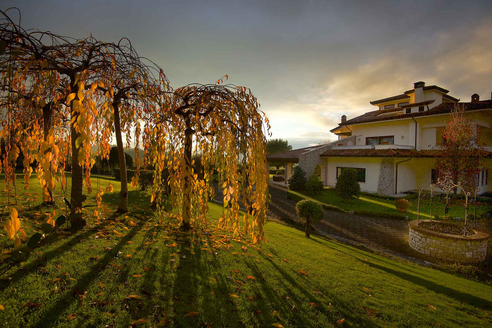 Cantine Mastroberardino