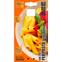 Astra Stainless Steel Large Serving Spoon