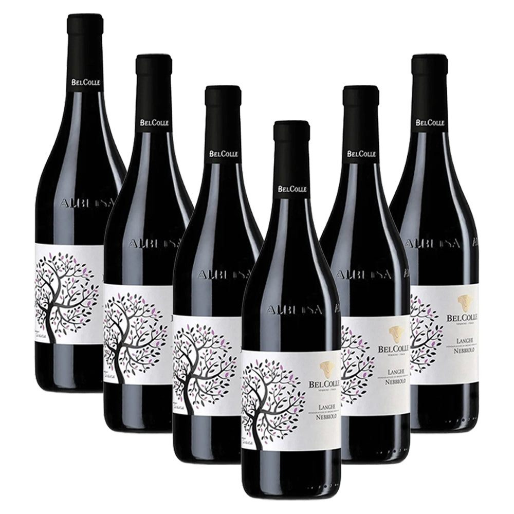 Nebbiolo Langhe DOC 2024 - Bel Colle