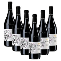 Nebbiolo Langhe DOC 2024 - Bel Colle