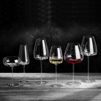 Zieher Vision Set Degustazione Con Valigetta