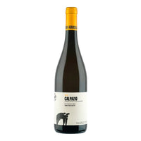 Calpazio Paestum Igp 2022 Cantina San Salvatore 1988