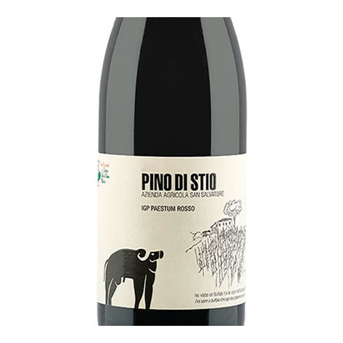 Pino Di Stio Paestum Igp 2020 Cantina San Salvatore 1988