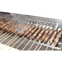 Tecnoroast 20 Single Griglia A Carbone Con Giraspiedini Automatico