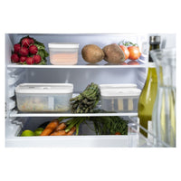 Zwilling Fresh & Save Contenitore Per Alimenti Porta Pranzo In Plastica