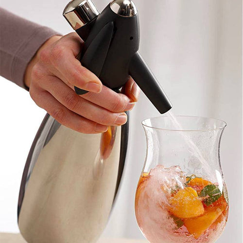 1 Litro Paderno Sifone Soda In Acciaio Inox