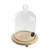 11 Cm Paderno Cloche Affumicatore