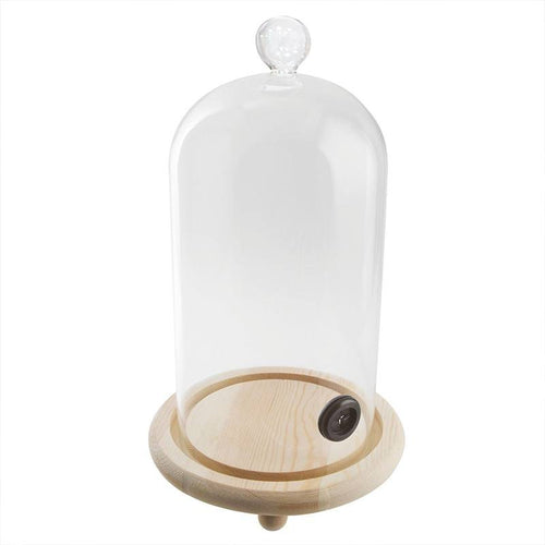 16 Cm Paderno Cloche Affumicatore