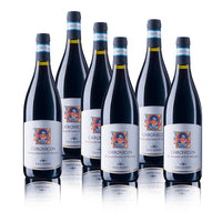 Chronicon Montepulciano D Abruzzo Doc 2019 Cantina Zaccagnini Set 6 Bottiglie