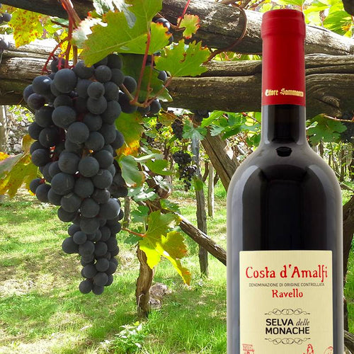 Selva Delle Monache Rosso Costa D Amalfi Doc 2022 Casa Vinicola Ettore Sammarco