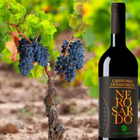 Nero Sardo Cannonau Di Sardegna Doc 2016 Cantina Di Mogoro